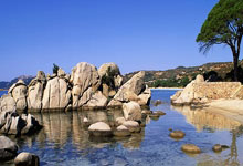 lol季中赛-美国爆冷那不勒斯，罗德里戈高光表现